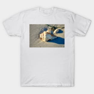 Large Shell on Beach T-Shirt